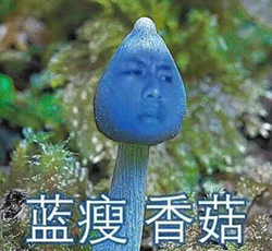 蓝瘦香菇是什么意思？朋友圈刷屏的蓝瘦香菇是什么梗？